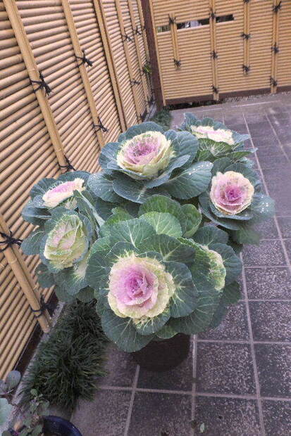 ２０２４年１月７日 012.JPG
