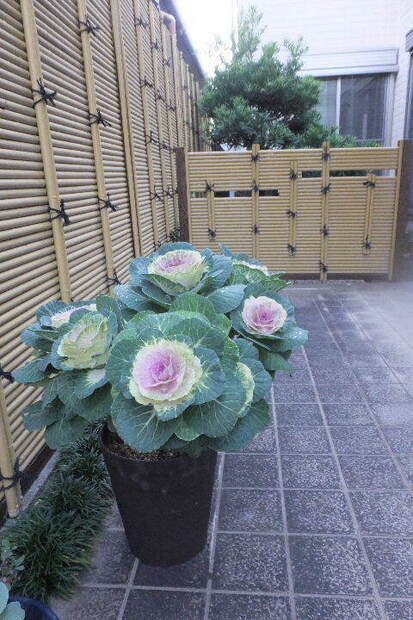２０２４年１月７日 014.JPG